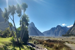 Milford Sound