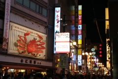 mtp:⁄MotoG3⁄sdcard1⁄Android⁄OpenCamera⁄IMG_20170924_193553