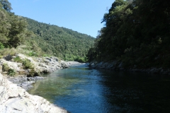 Pelorus River
